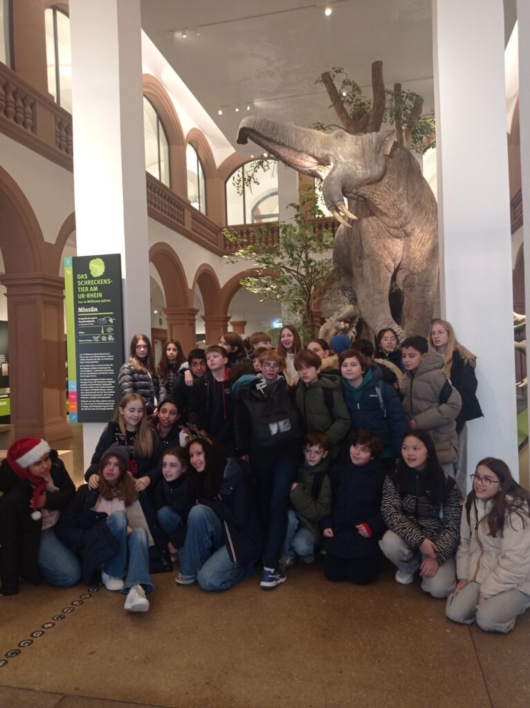 20251217_Musée_Gutenberg__Mayence_(8) 20251217_Musée_Gutenberg__Mayence_(8)