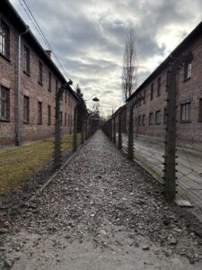 9bfb40b7-63f2-4322-b6f8-ed2d2601590c 9bfb40b7-63f2-4322-b6f8-ed2d2601590c