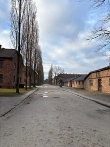 cef9a112-0abe-48d0-bc51-5cdab9f827e0 cef9a112-0abe-48d0-bc51-5cdab9f827e0